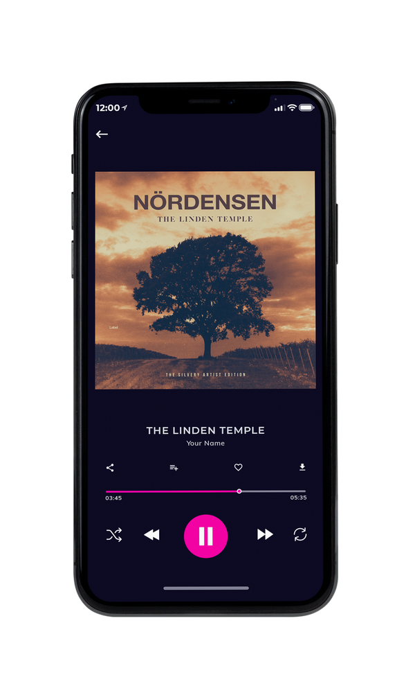 Tablet view of Premade Pop Album Cover - Leather #5461 | AlbumArtZone*