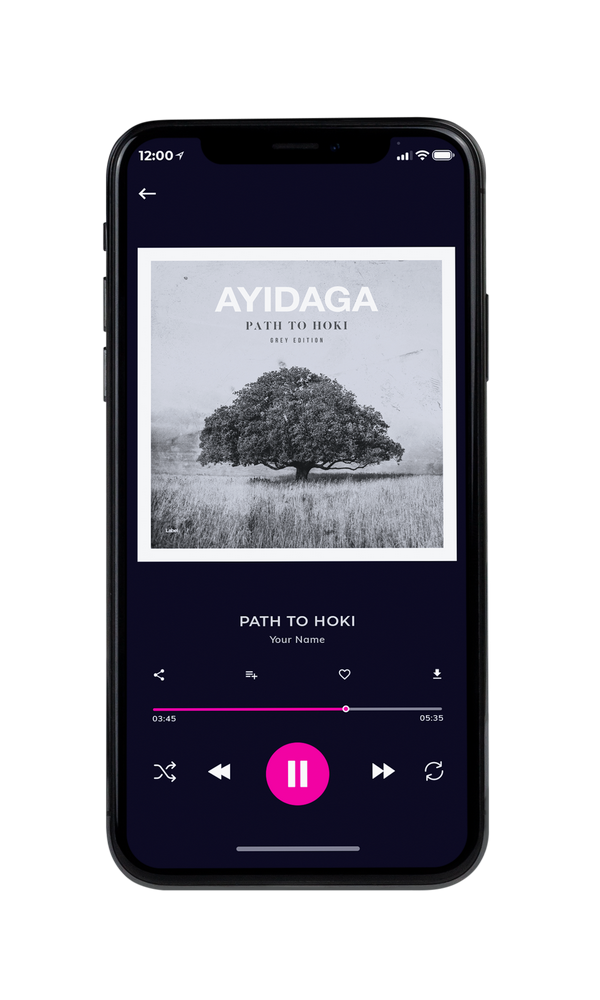 Tablet view of Premade Pop Album Cover - Silver #5462 | AlbumArtZone*