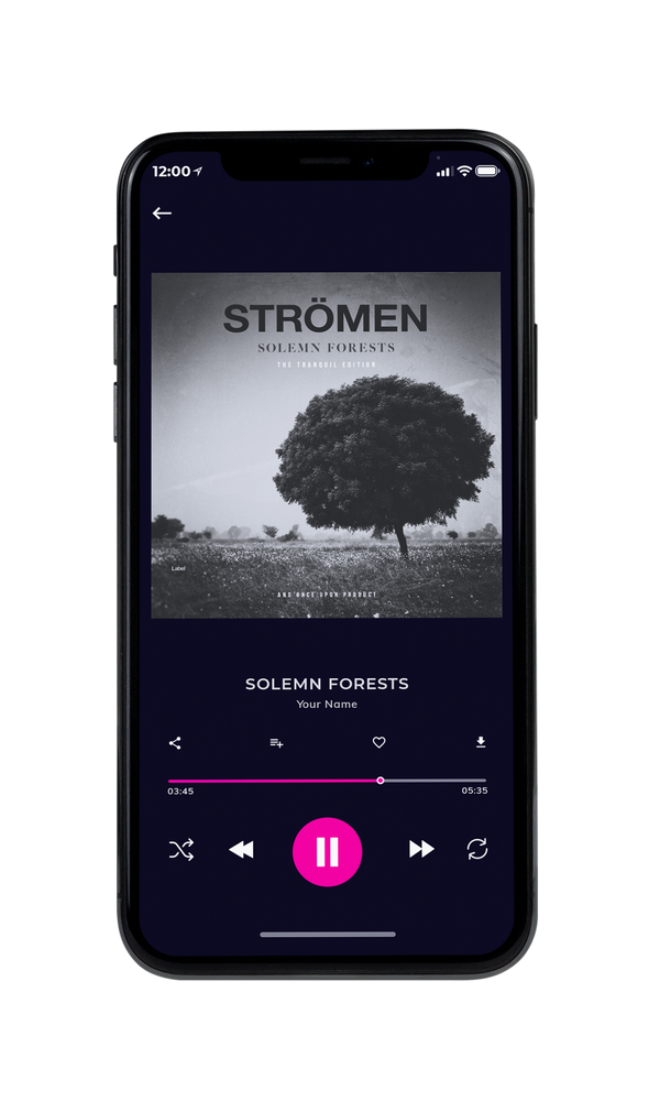 Tablet view of Premade Pop Album Cover - Silver #5464 | AlbumArtZone*