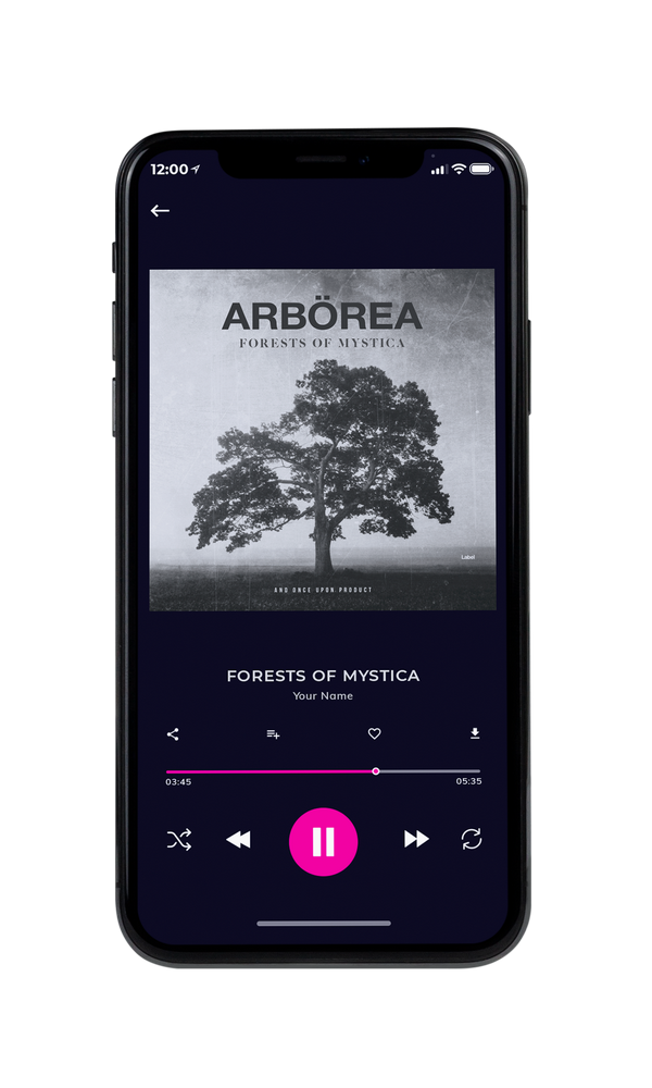 Tablet view of Premade Pop Album Cover - Silver #5465 | AlbumArtZone*