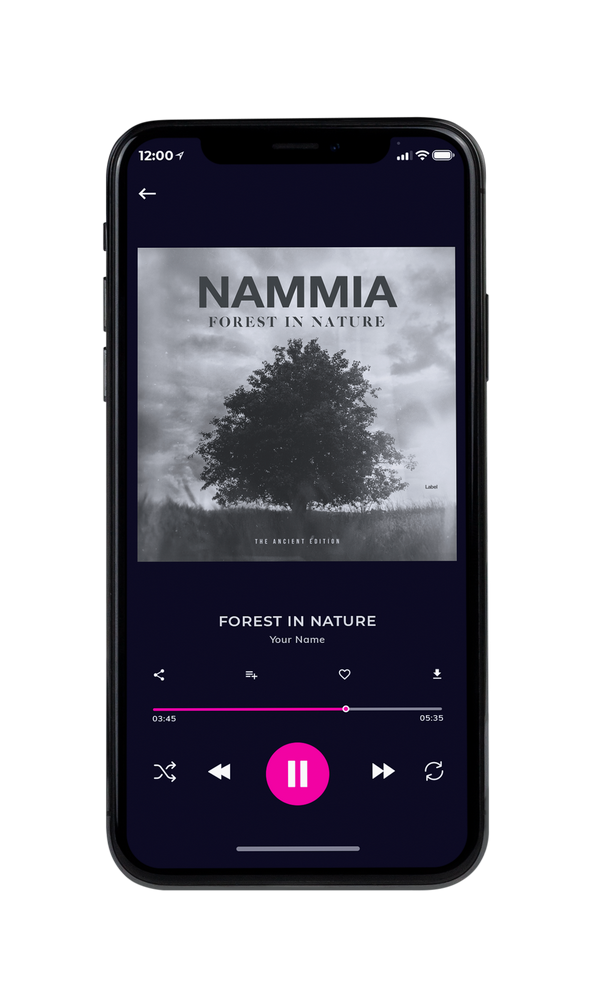 Tablet view of Premade Pop Album Cover - Nobel #5467 | AlbumArtZone*