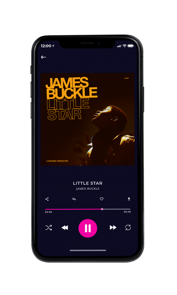 Tablet view of Premade Pop Album Cover - Creole #5476 | AlbumArtZone*