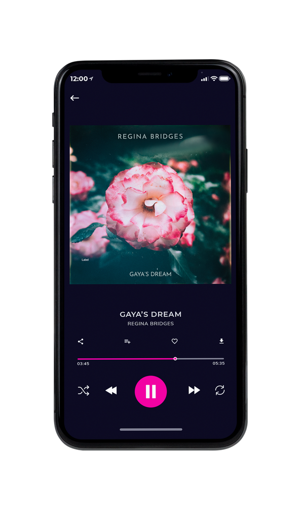 Tablet view of Premade EDM, House & Dub Album Cover - Careys Pink #5481 | AlbumArtZone*