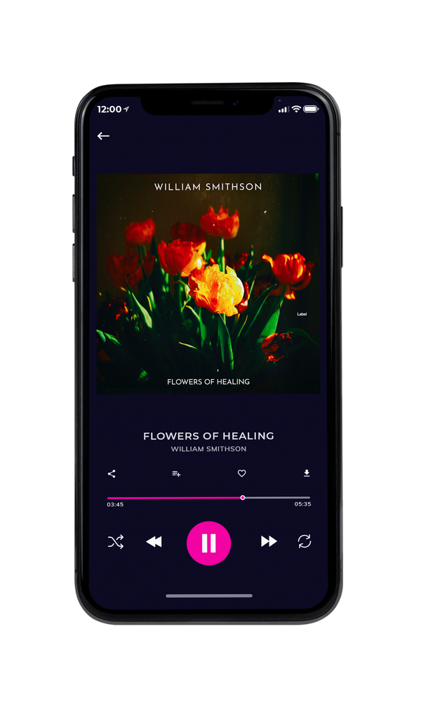 Tablet view of Premade Classical & Romantic Music Album Cover - Hunter Green #5484 | AlbumArtZone*