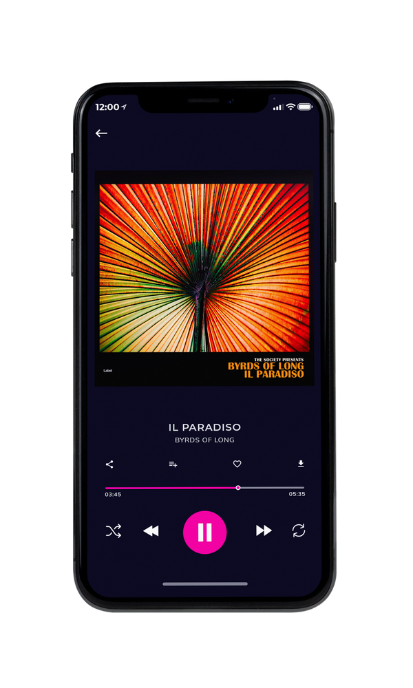 Tablet view of Premade Contemporary Music Album Cover - Rangoon Green #5495 | AlbumArtZone*