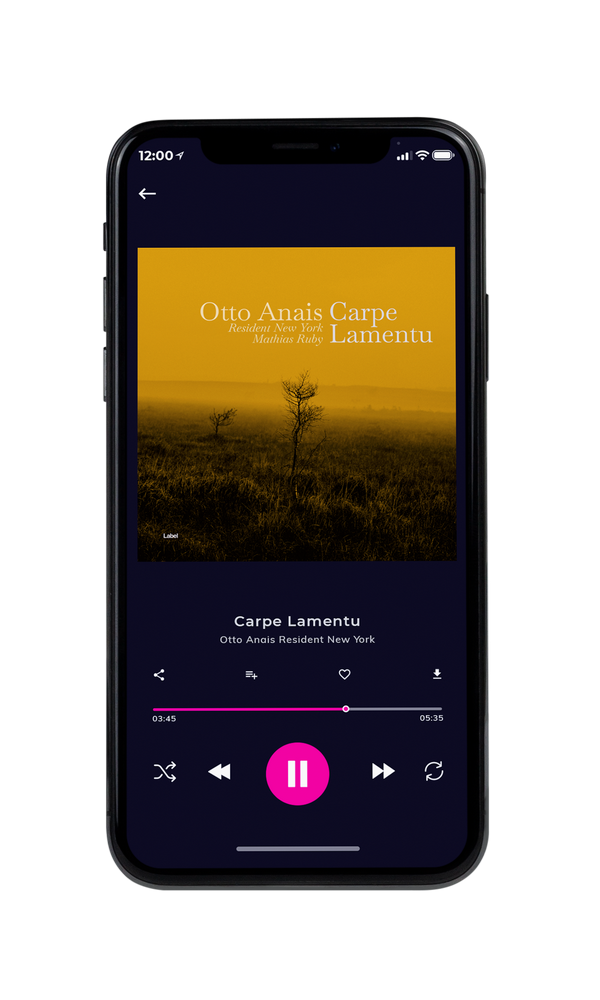 Tablet view of Premade Indie & Folk Music Album Cover - Pizza #5552 | AlbumArtZone*