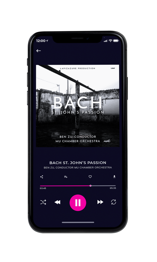 Tablet view of Premade Contemporary Music Album Cover - Silver #5601 | AlbumArtZone*