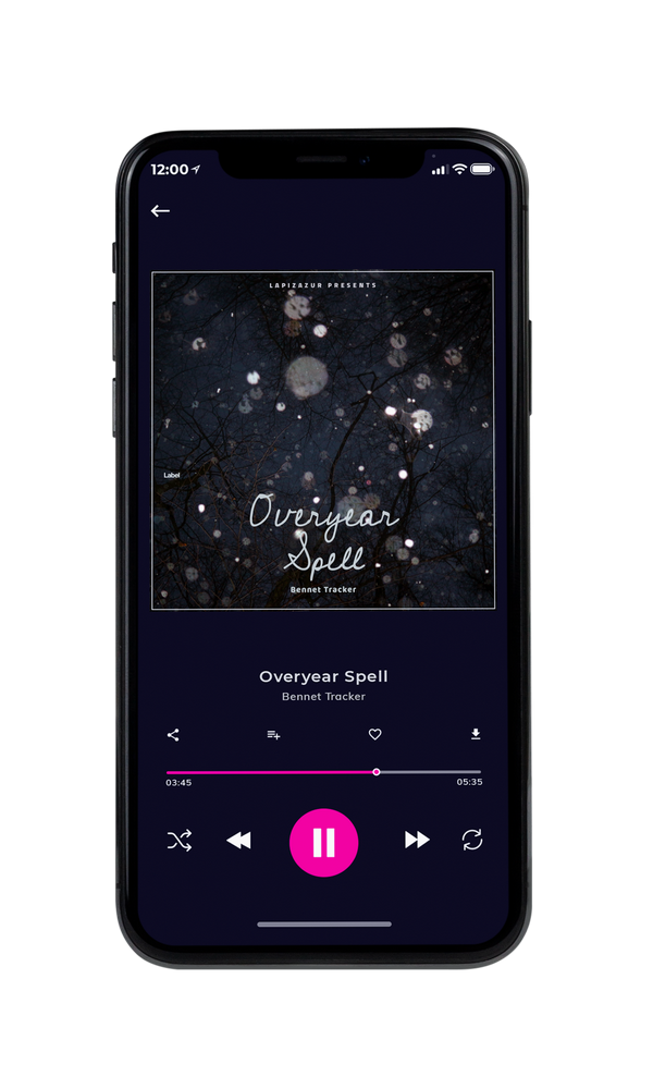 Tablet view of Premade Christmas Music Album Cover - Shark #5673 | AlbumArtZone*