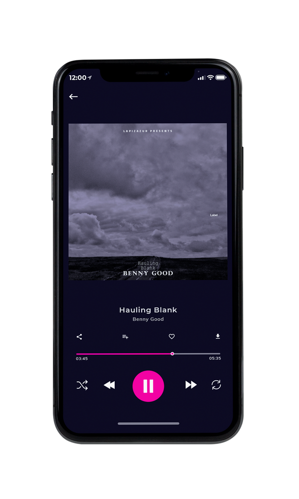 Tablet view of Premade Indie & Folk Music Album Cover - Dolphin #5676 | AlbumArtZone*