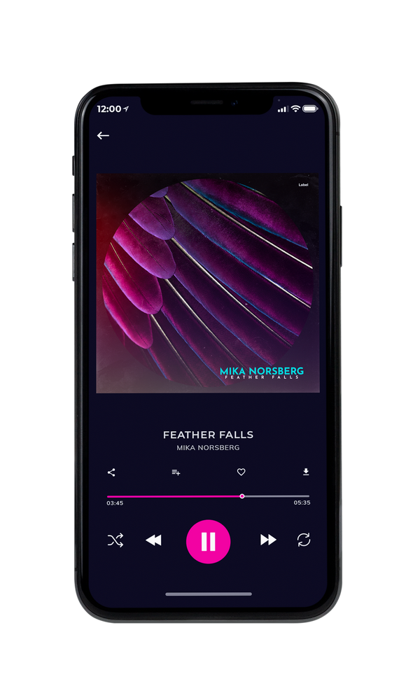 Tablet view of Premade Pop Album Cover - Tamarind #5819 | AlbumArtZone*