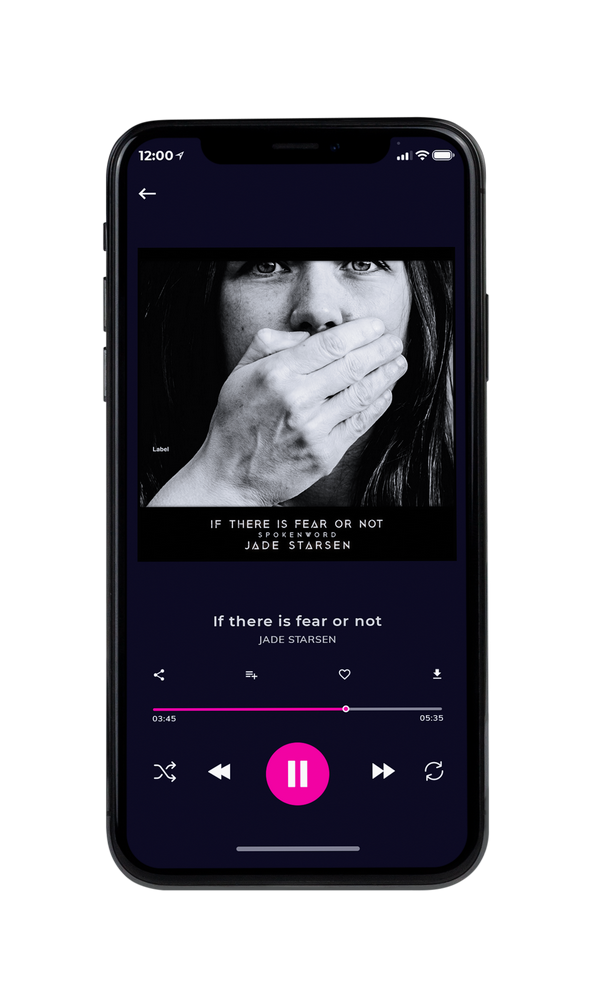 Tablet view of Premade Pop Album Cover - Cod Gray #5888 | AlbumArtZone*