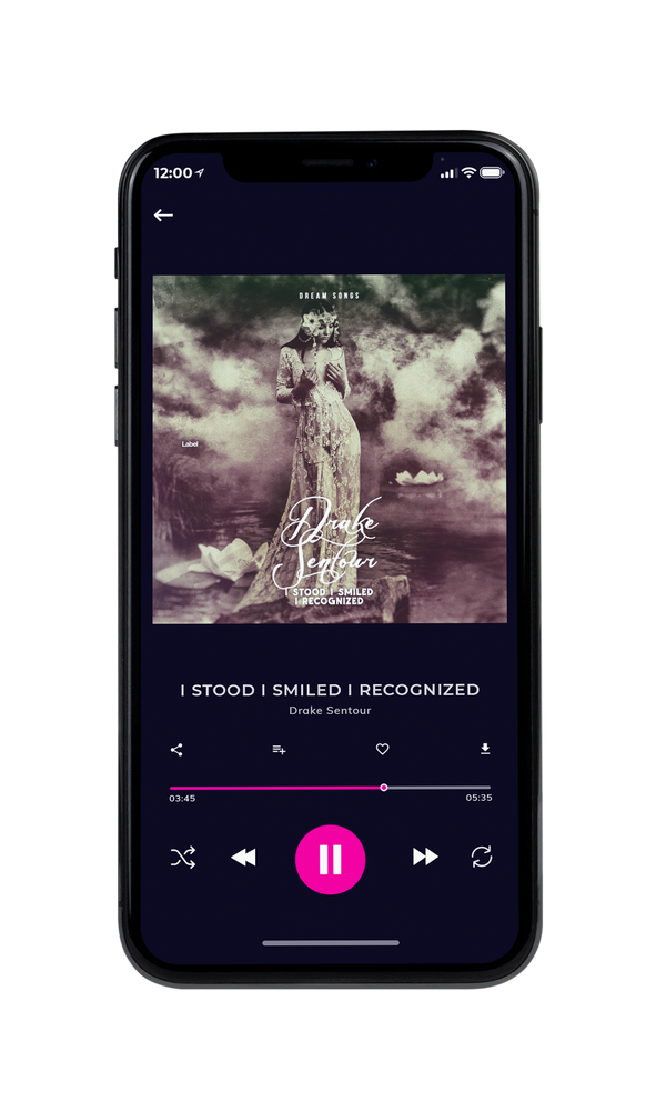 Tablet view of Premade Pop Album Cover - Sandstone #5961 | AlbumArtZone*