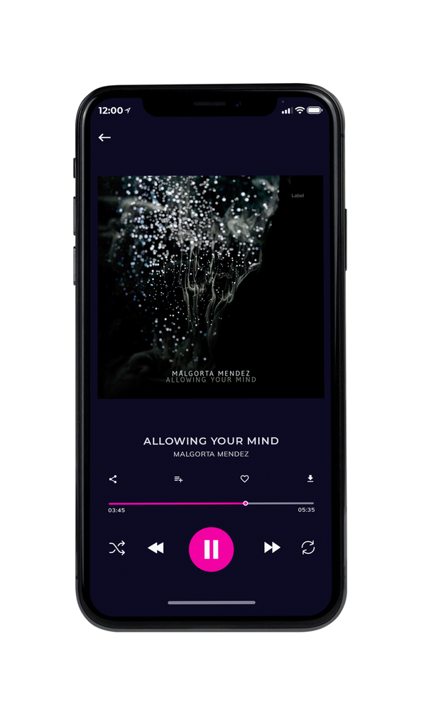 Tablet view of Premade Pop Album Cover - Woodsmoke #6085 | AlbumArtZone*