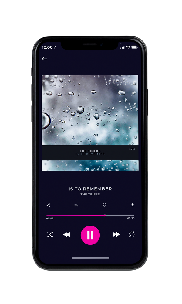 Tablet view of Premade Pop Album Cover - Regent Gray #6091 | AlbumArtZone*