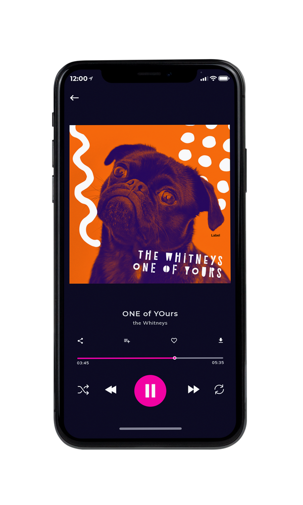 Tablet view of Premade Pop Album Cover - Tango #6096 | AlbumArtZone*