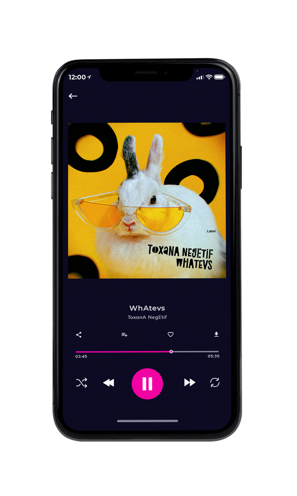 Tablet view of Premade Pop Album Cover - Golden Grass #6097 | AlbumArtZone*