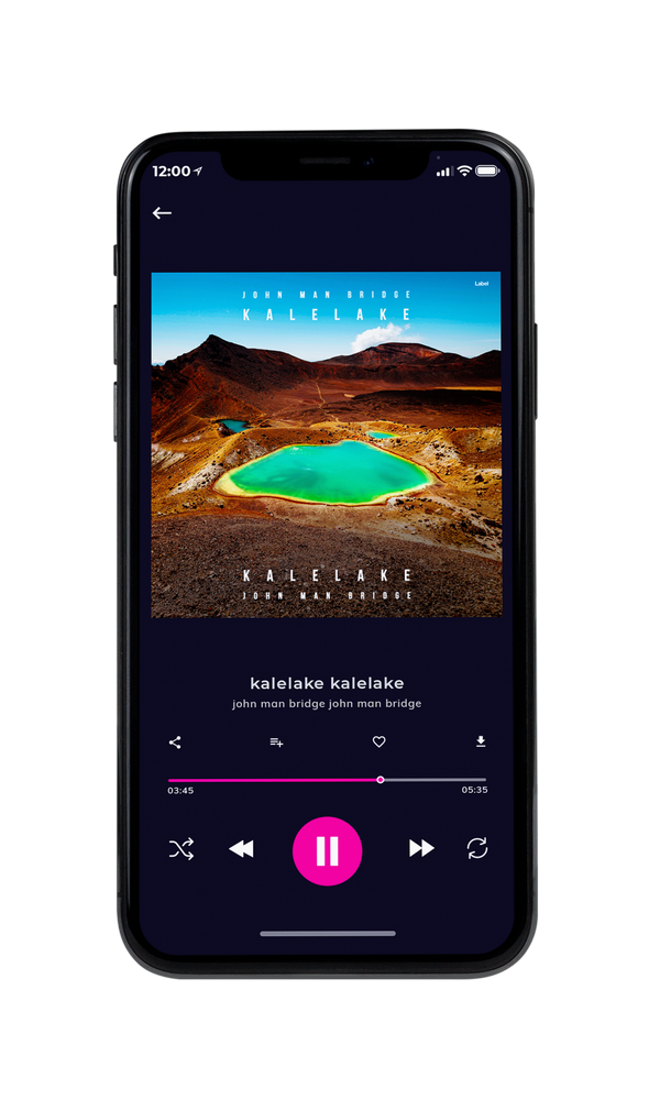 Tablet view of Premade Pop Album Cover - Cedar #6131 | AlbumArtZone*