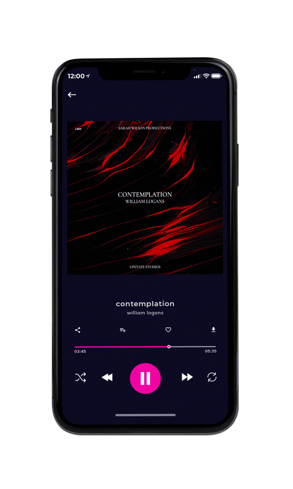 Tablet view of Premade Pop Album Cover - Gondola #6143 | AlbumArtZone*