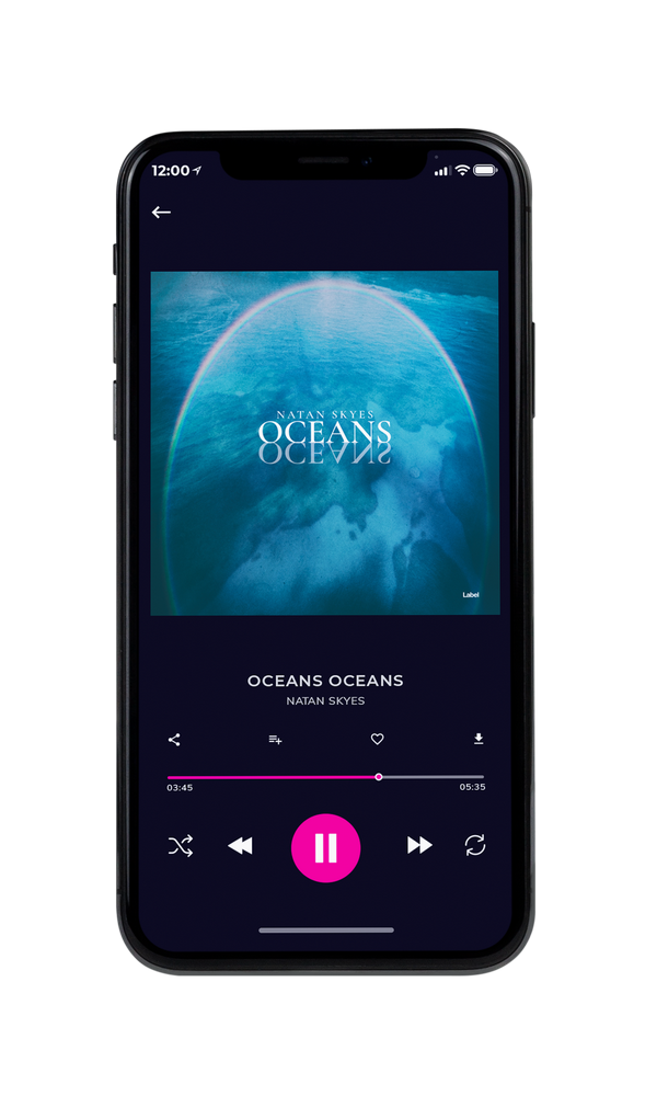 Tablet view of Premade Contemporary Music Album Cover - Calypso #6153 | AlbumArtZone*