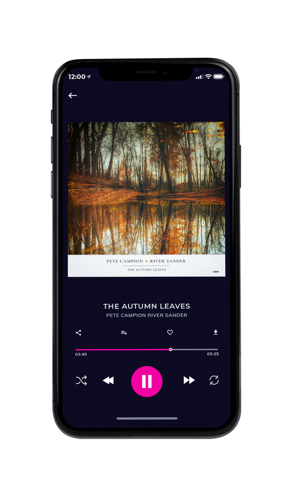 Tablet view of Premade Country & Acoustic Album Cover - Millbrook #6165 | AlbumArtZone*