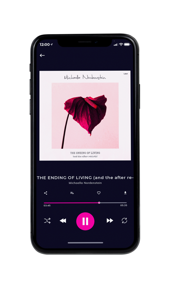 Tablet view of Premade Pop Album Cover - Carousel Pink #6252 | AlbumArtZone*