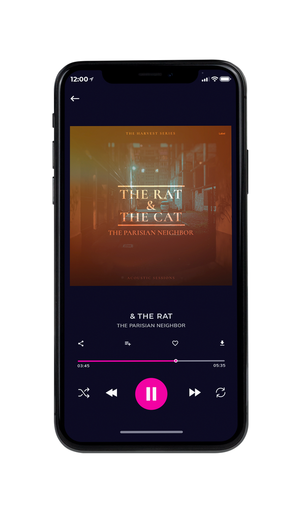 Tablet view of Premade Contemporary Music Album Cover - Old Copper #6263 | AlbumArtZone*