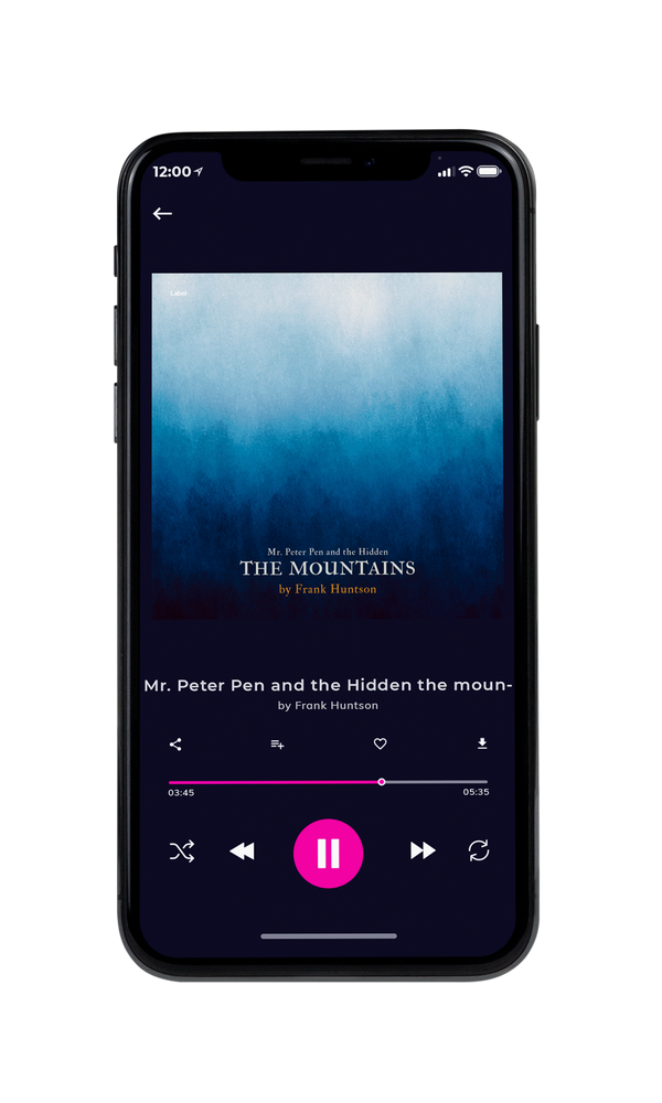 Tablet view of Premade Pop Album Cover - Downriver #6325 | AlbumArtZone*