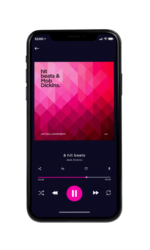 Tablet view of Premade EDM, House & Dub Album Cover - Cardinal #6594 | AlbumArtZone*