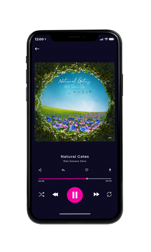 Tablet view of Premade Pop Album Cover - Black Olive #6640 | AlbumArtZone*