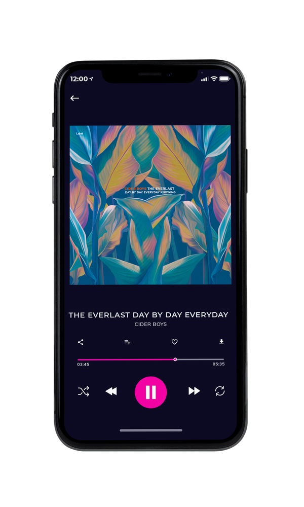 Tablet view of Premade Pop Album Cover - Ming #6650 | AlbumArtZone*