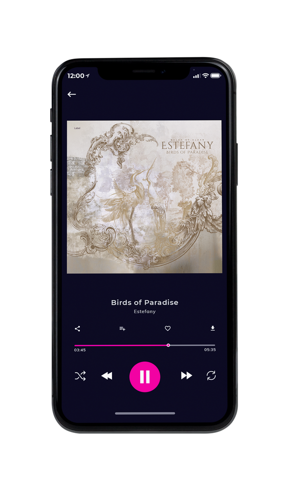 Tablet view of Premade Pop Album Cover - Sisal #6657 | AlbumArtZone*