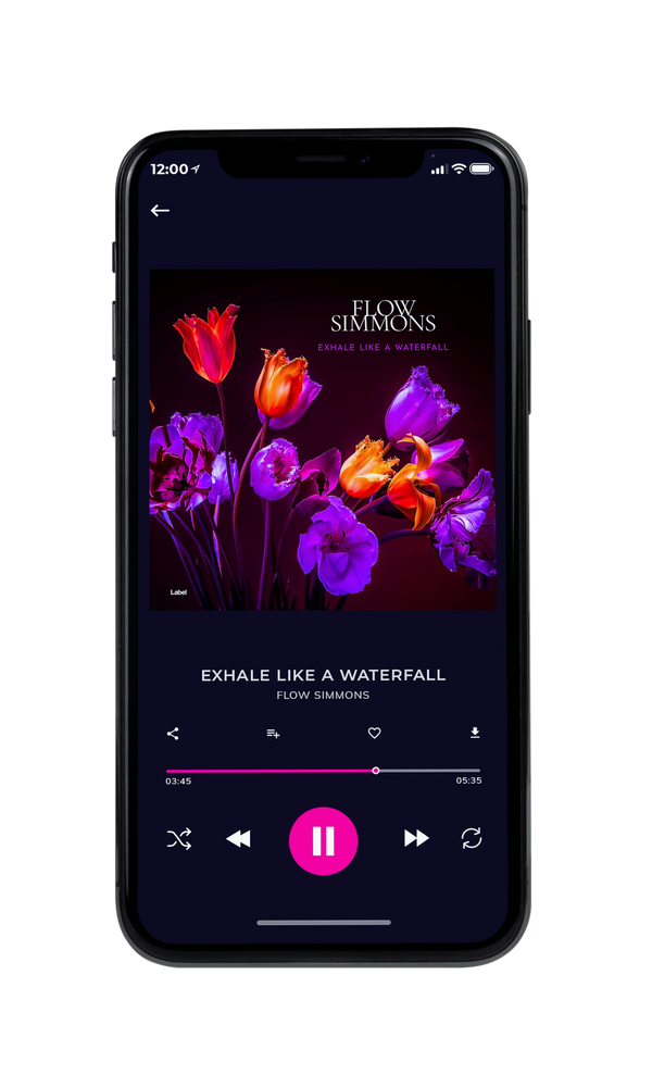 Tablet view of Premade Pop Album Cover - Mulberry #6710 | AlbumArtZone*