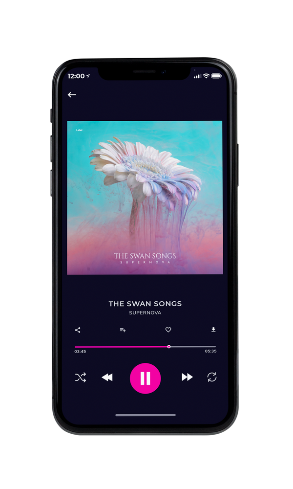 Tablet view of Premade Electronica & Ambient Album Cover - Gray Chateau #6723 | AlbumArtZone*