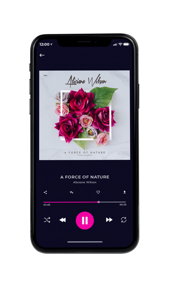Tablet view of Premade Dance & House Album Cover - Alto #6727 | AlbumArtZone*