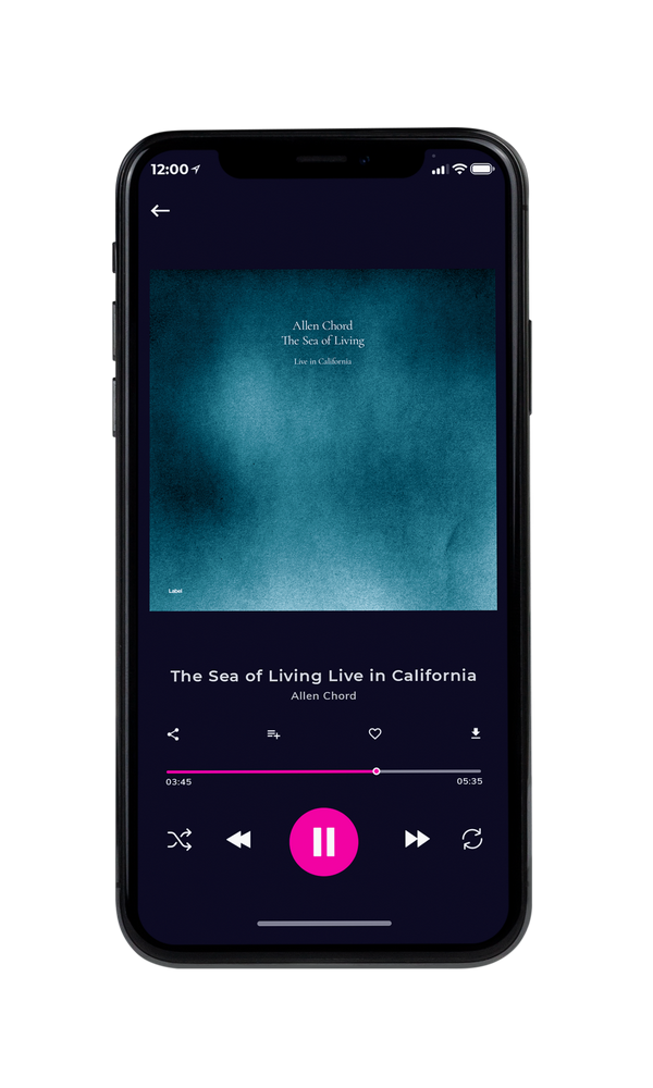 Tablet view of Premade Contemporary Music Album Cover - Casal #6775 | AlbumArtZone*