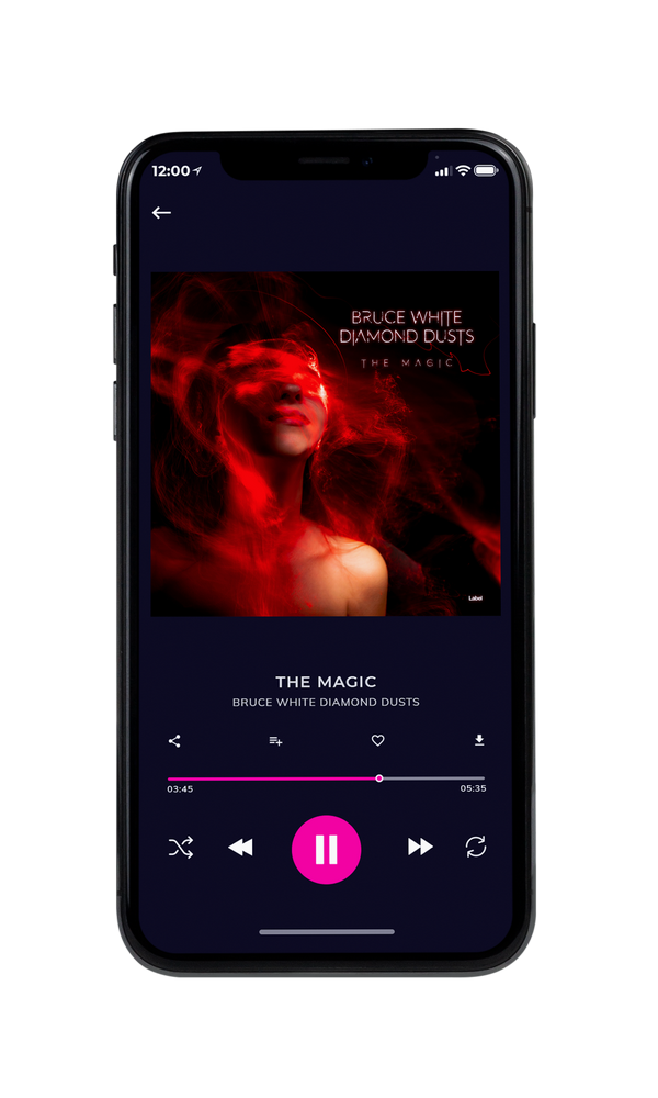 Tablet view of Premade Pop Album Cover - Creole #6792 | AlbumArtZone*