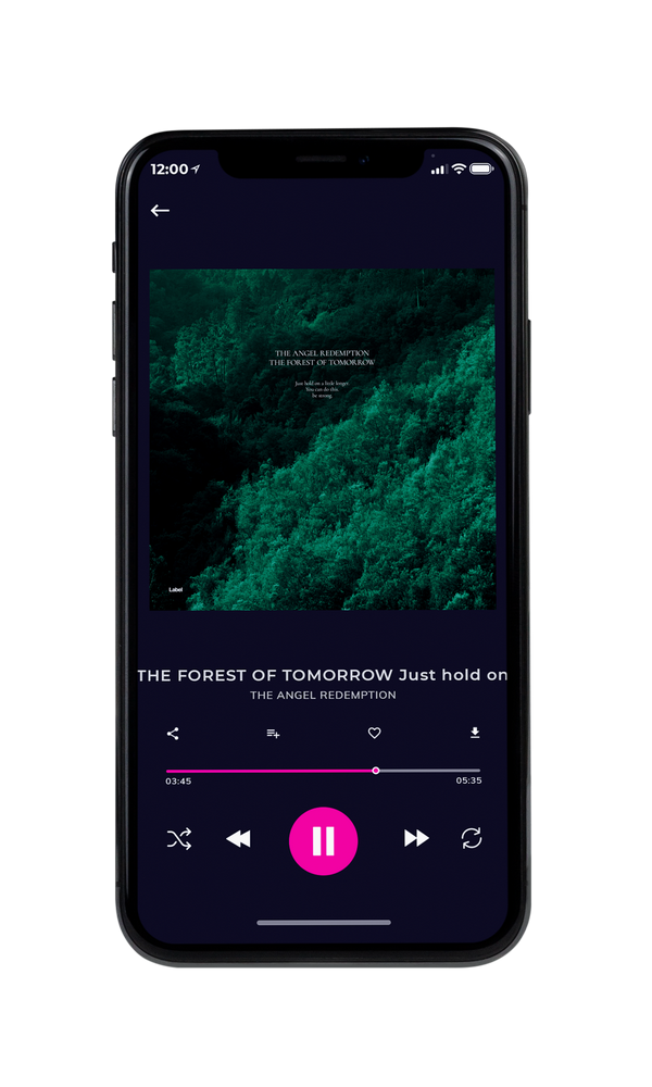 Tablet view of Premade Contemporary Music Album Cover - Bottle Green #6795 | AlbumArtZone*