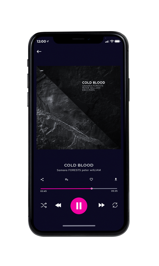 Tablet view of Premade Contemporary Music Album Cover - Cod Gray #7073 | AlbumArtZone*