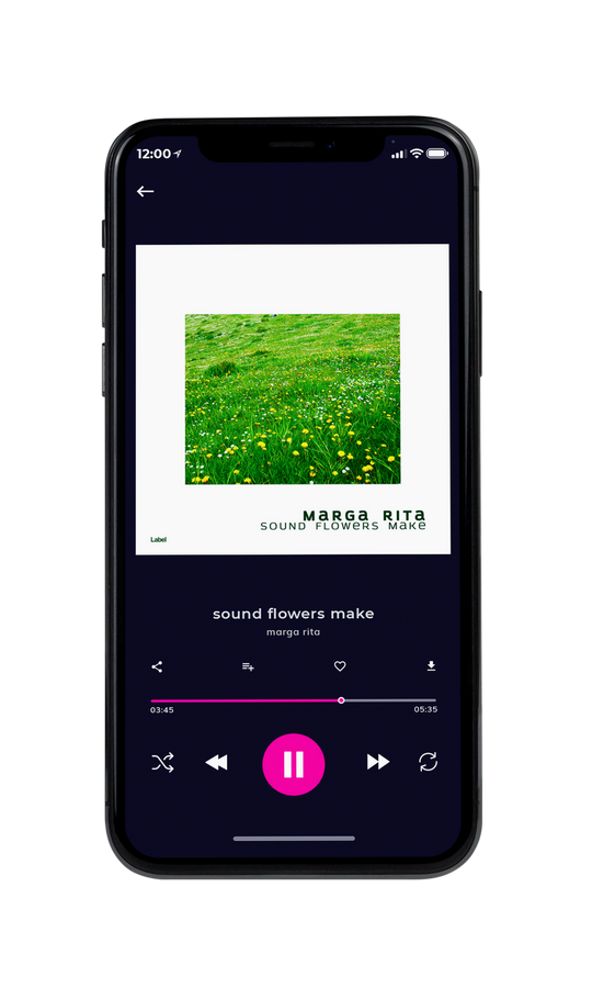 Tablet view of Premade Country & Acoustic Album Cover - Vida Loca #7292 | AlbumArtZone*