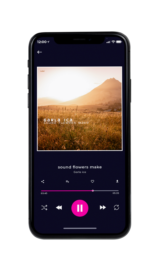 Tablet view of Premade Country & Acoustic Album Cover - Driftwood #7296 | AlbumArtZone*