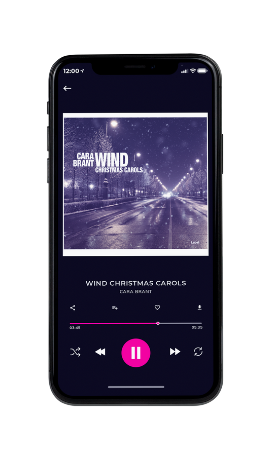 Tablet view of Premade Rock,Punk & Alternative Book Cover - Mulled Wine #7318 | AlbumArtZone*