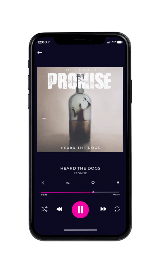 Tablet view of Premade Rock,Punk & Alternative Album Cover - Sisal #7339 | AlbumArtZone*