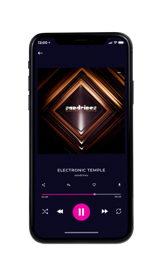 Tablet view of Premade Contemporary Music Album Cover - Night Rider #7449 | AlbumArtZone*