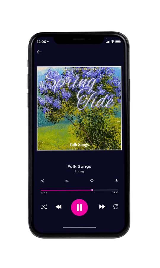 Tablet view of Premade Country & Acoustic Album Cover - Dingley #7462 | AlbumArtZone*