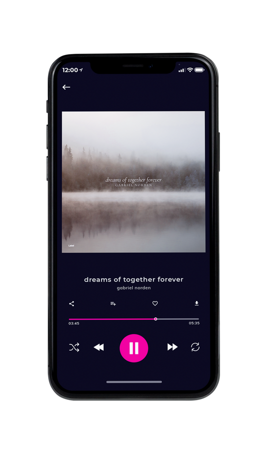 Tablet view of Premade Country & Acoustic Album Cover - Zorba #7483 | AlbumArtZone*