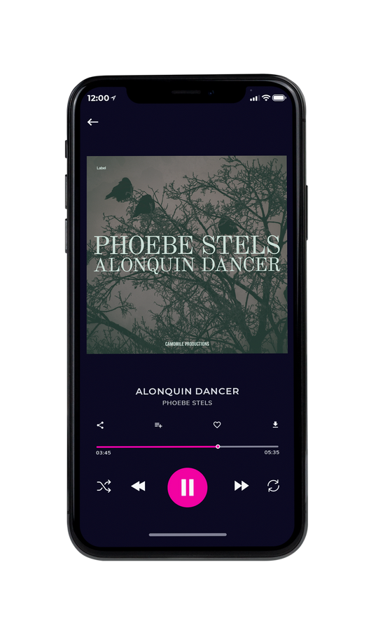 Tablet view of Premade Pop Album Cover - Gray Asparagus #7514 | AlbumArtZone*