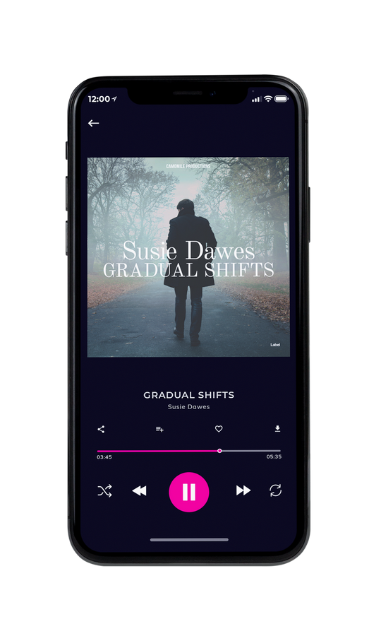 Tablet view of Premade Pop Album Cover - Gunsmoke #7519 | AlbumArtZone*