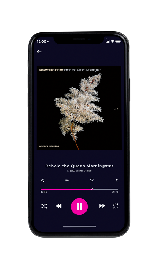 Tablet view of Premade Pop Album Cover - Malta #7543 | AlbumArtZone*