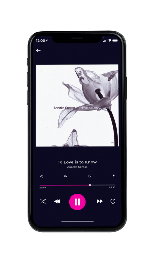Tablet view of Premade Pop Album Cover - Chatelle #7559 | AlbumArtZone*