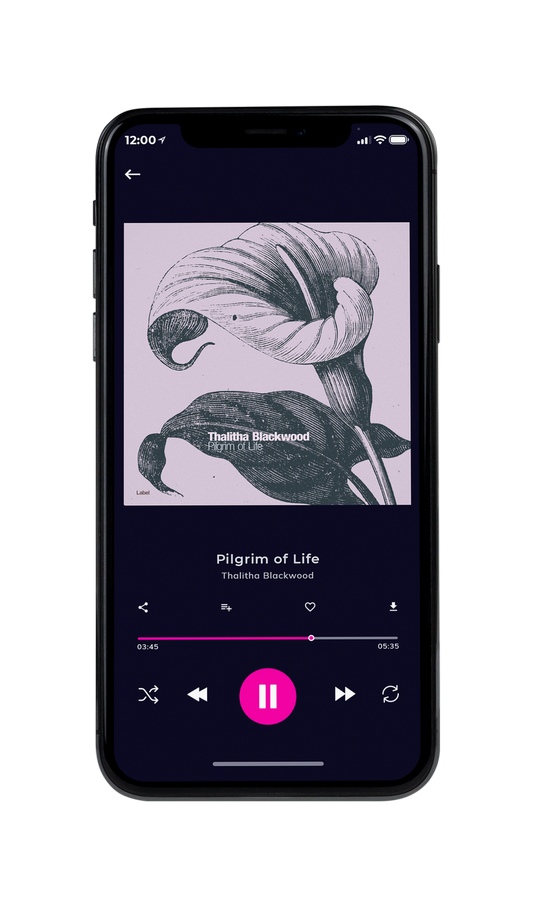 Tablet view of Premade Pop Album Cover - Mako #7566 | AlbumArtZone*